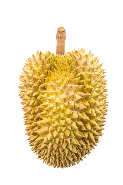 Free photo durian fruit