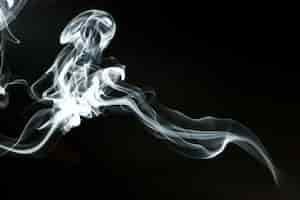 Free photo dynamic smoke silhouette on black background