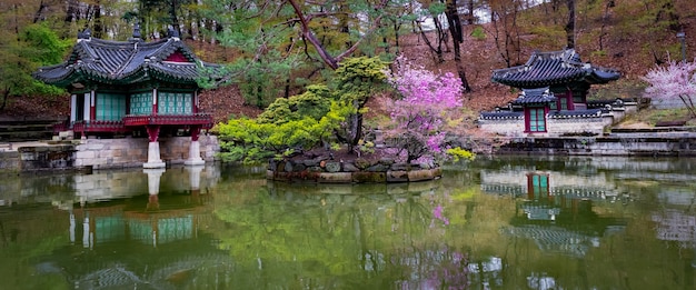 Free photo early spring at buyongji pond, in the gardens of changdeokgung palace