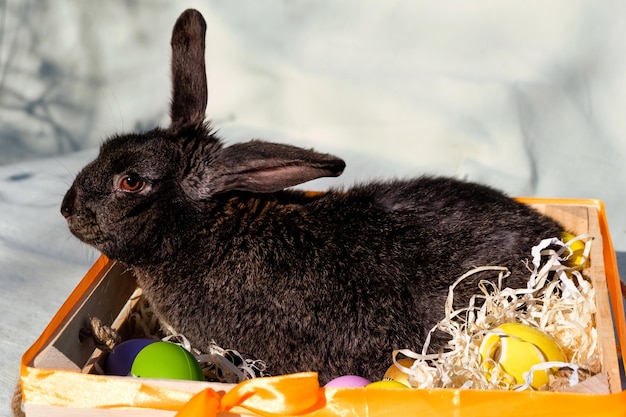 Free photo easter brown rabbit with brown eyes looking at the camera from a wooden white basket