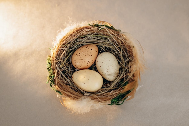 Easter eggs in a nest on a background