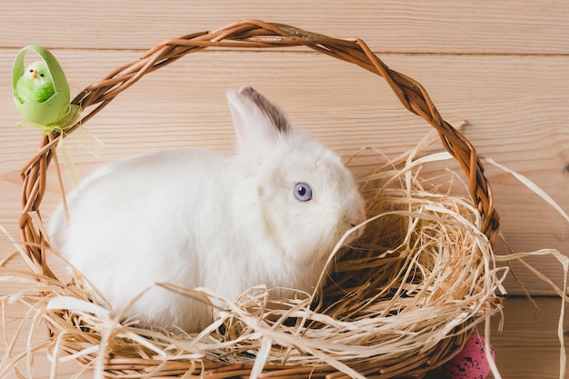 Easter rabbit in basket