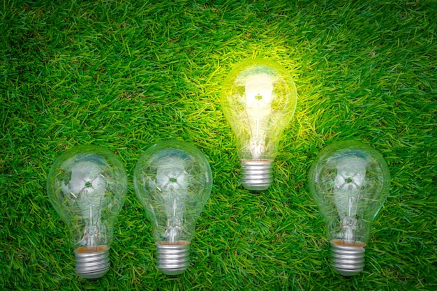 Eco concept - light bulb grow in the grass