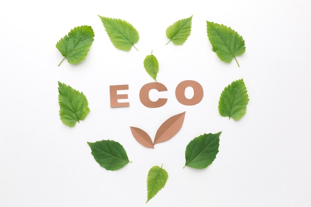 Eco sign with leaves frame