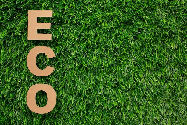 Free Photo eco word in grass with copy-space