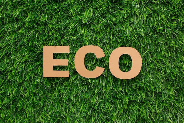 Free Photo eco word in grass