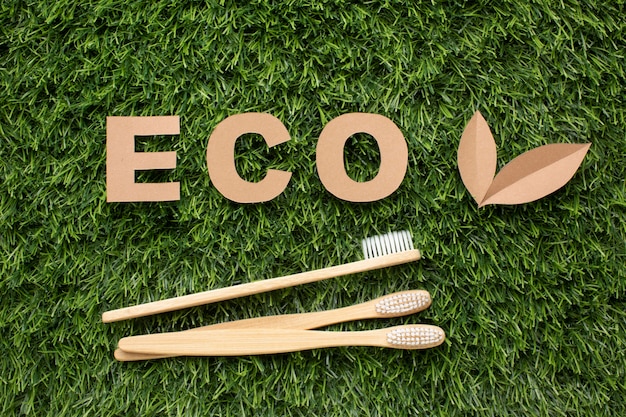 Free Photo ecological toothbrushes on grass