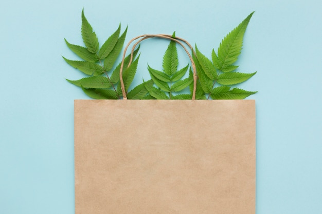 Free photo ecology bag with leaves