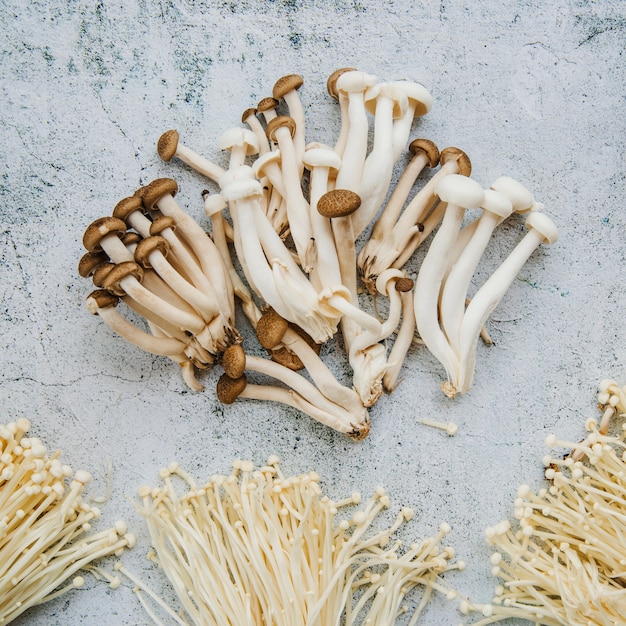 Free Photo edible mushrooms arrange on floor