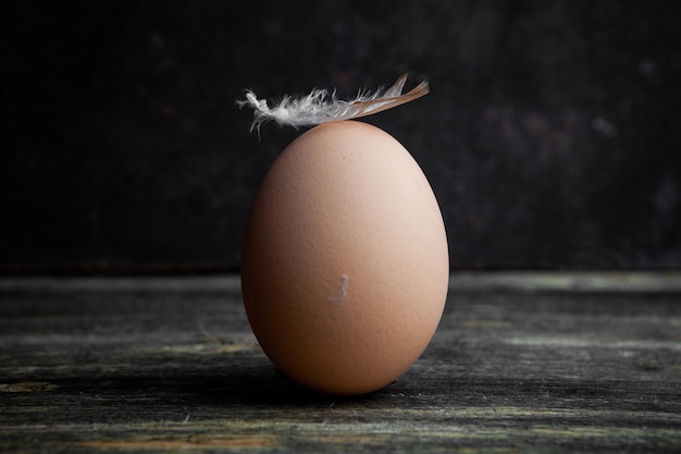 Free photo egg with feather side view on a dark wooden background