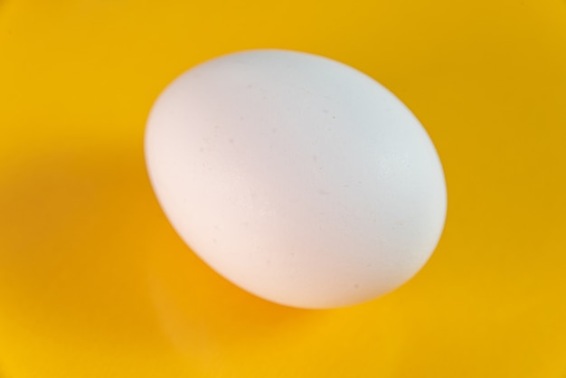 Egg on the yellow background