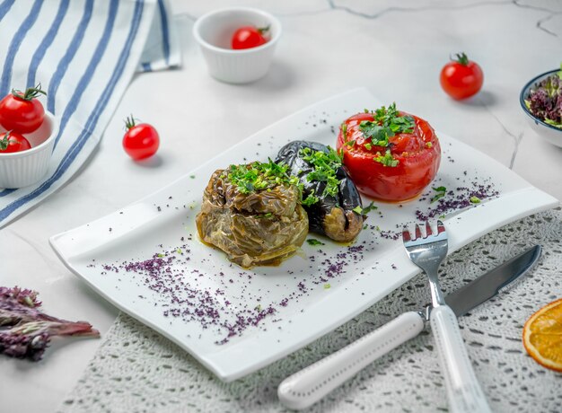 eggplant dolma with tomato and bell pepper