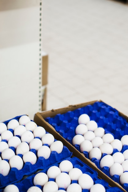 Free photo eggs laid out in trays at store