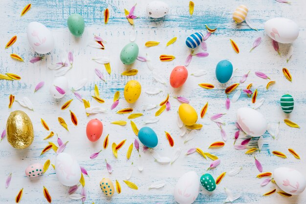 Eggs and petals in abstract background