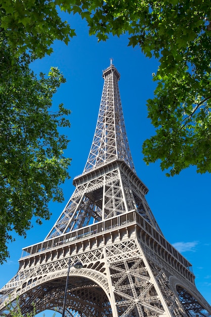 Free Photo eifel tower with tree in blue sky, paris.