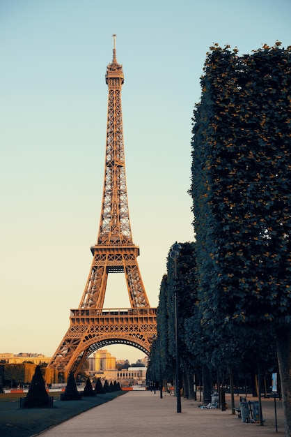 Free Photo eiffel tower as the famous city landmark in paris