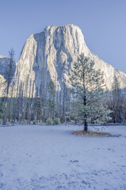 Free photo el capitan in  the morning light