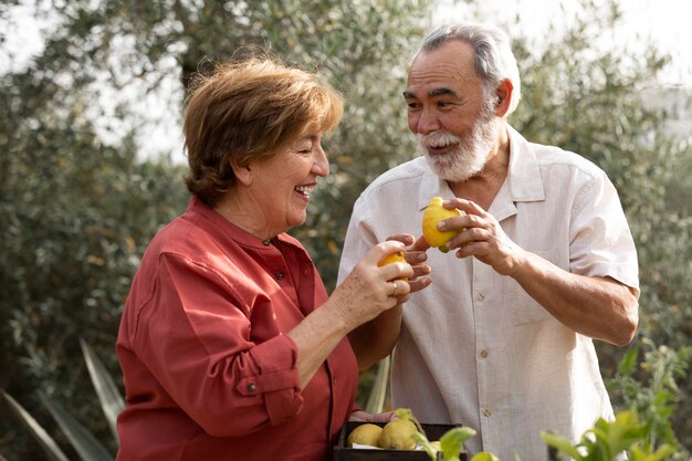 Elderly couple picking vegetables from their countryside home garden