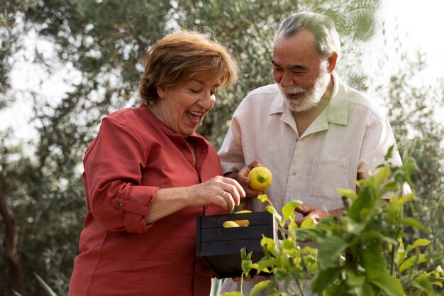 Elderly couple picking vegetables from their countryside home garden