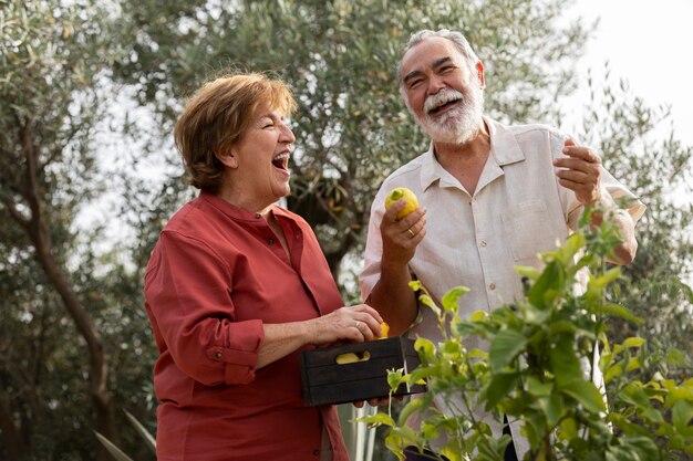 Elderly couple picking vegetables from their countryside home garden