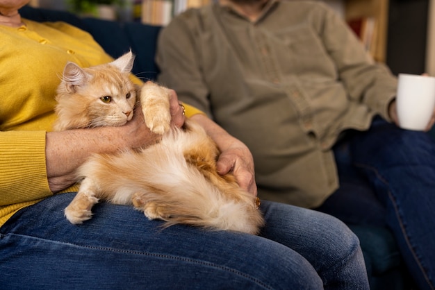 Free photo elderly people with cat pet