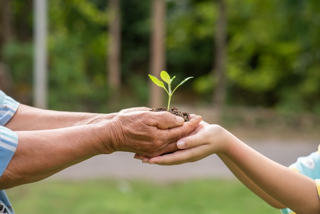 Elderly person and children holding plant