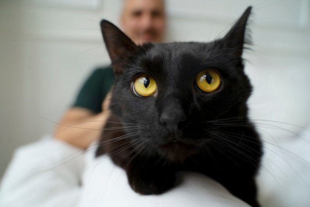 Elderly person spendng tim with their pets