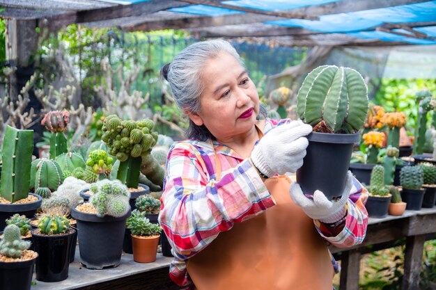 Elderly woman looking at integrity of cactus tree