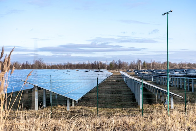 Electric farm with panels for producing clean ecologic energy