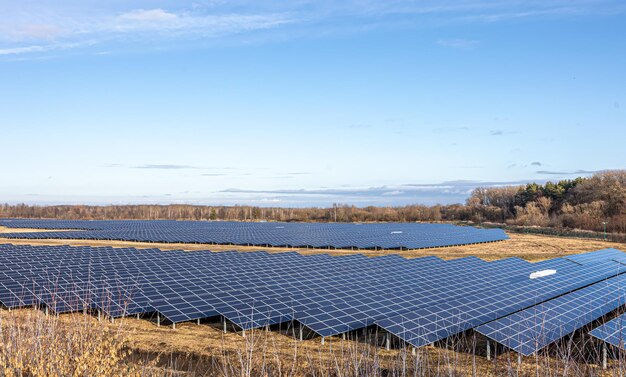 Electric farm with panels for producing clean ecologic energy