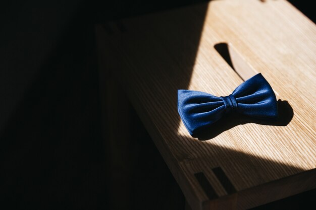 An elegant bow lying in the sun