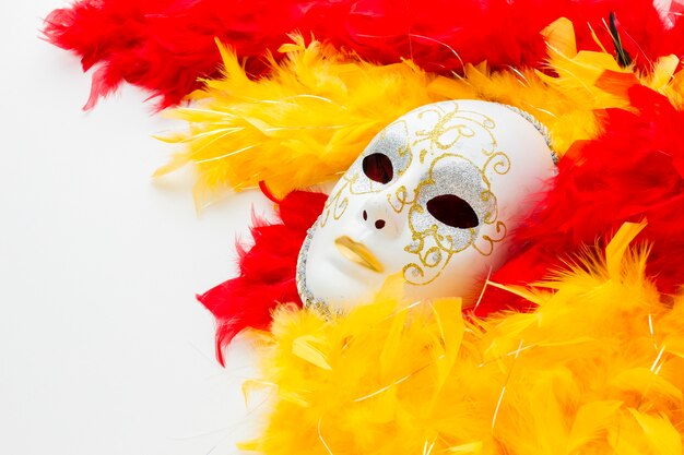 Elegant carnival mask and feathers