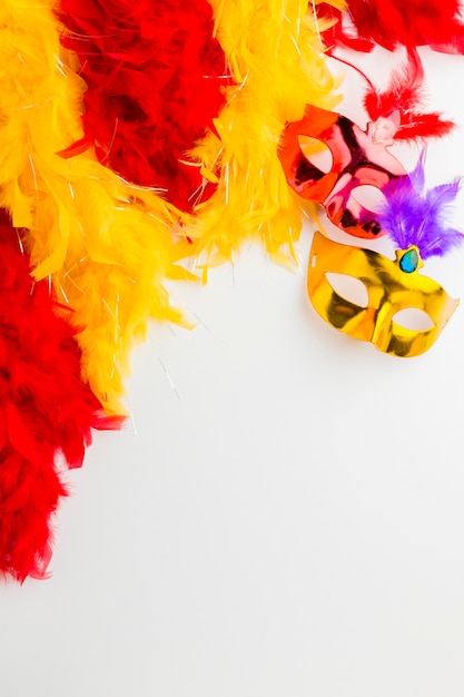 Elegant carnival masks with feathers