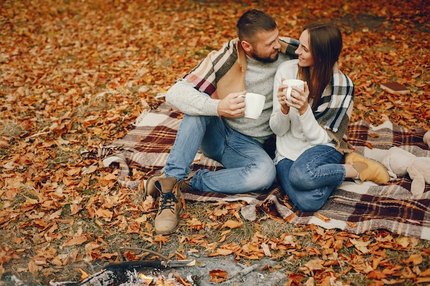 Free photo elegant couple spend time in a autumn park