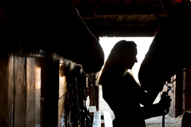 Elegant horse silhouette against dawn sky