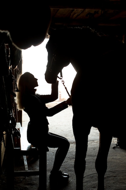 Elegant horse silhouette against dawn sky