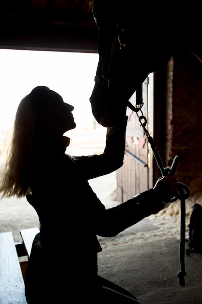 Free photo elegant horse silhouette against dawn sky