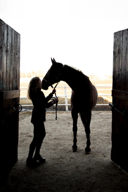 Elegant horse silhouette against dawn sky