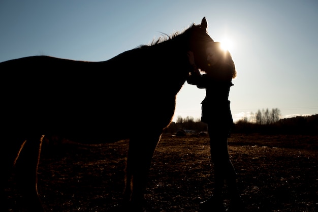 Free photo elegant horse silhouette against dawn sky