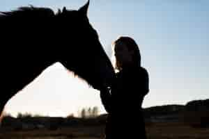 Free photo elegant horse silhouette against dawn sky