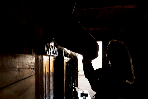 Elegant horse silhouette against dawn sky