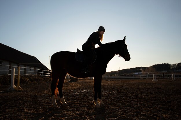 Elegant horse silhouette against dawn sky