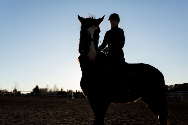 Elegant horse silhouette against dawn sky