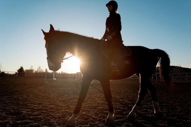 Free photo elegant horse silhouette against dawn sky