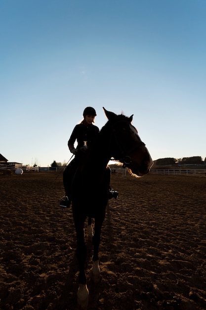 Free photo elegant horse silhouette against dawn sky