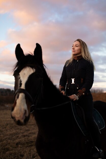 Elegant horse silhouette against dawn sky