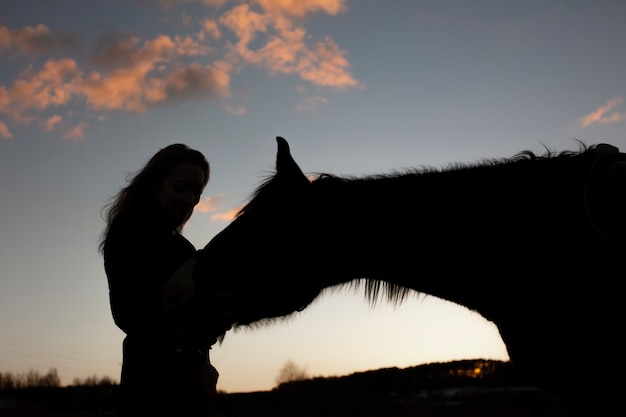 Elegant horse silhouette against dawn sky