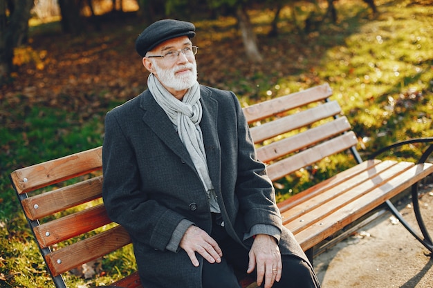 Elegant old man in a sunny autumn park 