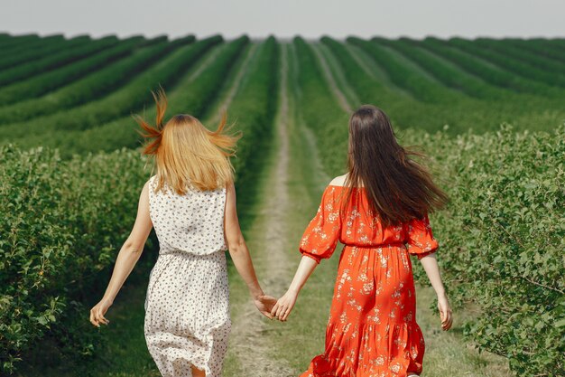 Elegant and stylish girls in a summer field