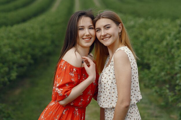 Elegant and stylish girls in a summer field